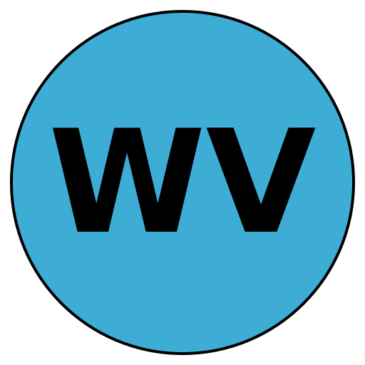 WiseVoyage